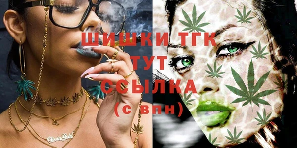 прущие крисы Вязьма