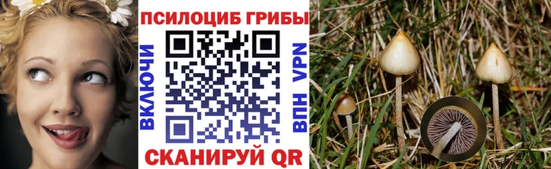 Псилоцибиновые грибы мицелий  цены наркотик  Ивдель 